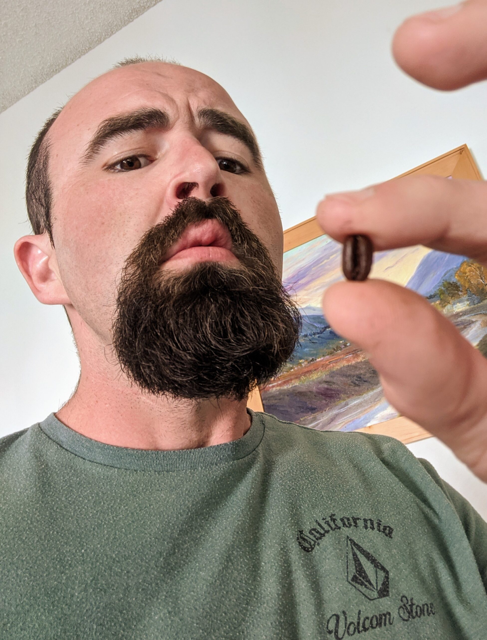 Bean_Inspector_1-scaled